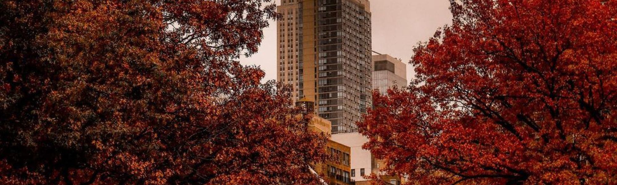 Descubra las actividades perfectas para el otoño en Nueva York